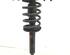 Suspension Strut AUDI A6 Avant (4B5, C5)