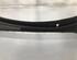 Water Deflector RENAULT Clio III (BR0/1, CR0/1), RENAULT Clio IV (BH)