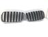 Radiator Grille BMW X3 (E83)