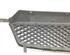 Radiator Grille FORD FOCUS C-MAX (DM2), FORD C-MAX (DM2), FORD KUGA I, FORD KUGA II (DM2)