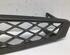 Radiateurgrille FORD FOCUS Turnier (DNW)