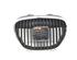 Radiateurgrille SEAT IBIZA III (6L1)