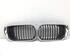 Radiateurgrille BMW 3 Touring (E46)