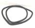 Door Seal SEAT Altea (5P1), SEAT Altea XL (5P5, 5P8), SEAT Toledo III (5P2)