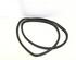 Door Seal SKODA ROOMSTER (5J7), SKODA ROOMSTER Praktik (5J)