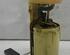 Fuel Pump SKODA OCTAVIA II Combi (1Z5)