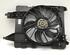 Radiator Electric Fan  Motor RENAULT MEGANE II Coupé-Cabriolet (EM0/1_)