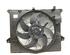 Radiator Electric Fan  Motor MERCEDES-BENZ M-CLASS (W164)