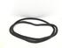 Boot / Trunk Lid Seal AUDI A3 (8P1), AUDI A3 Sportback (8PA)