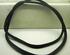 Boot / Trunk Lid Seal BMW X5 (E70), BMW X6 (E71, E72), BMW X3 (F25)