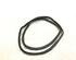 Boot / Trunk Lid Seal VW GOLF V (1K1), VW GOLF VI (5K1)