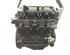 Bare Engine RENAULT Clio III (BR0/1, CR0/1), RENAULT Clio IV (BH)