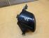 Fog Light RENAULT Vel Satis (BJ0)