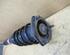 Suspension Strut MAZDA RX-8 (FE, SE)