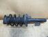 Suspension Strut MAZDA 5 (CR19)