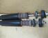 Shock Absorber OPEL Agila (B) (B H08)