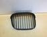 Radiator Grille BMW 5er (E39)