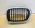 Radiator Grille BMW 5er (E39)