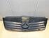 Radiator Grille MERCEDES-BENZ Vaneo (414)