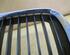 Radiator Grille BMW 5er (E39)