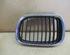 Radiator Grille BMW 5er (E39)