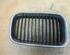 Radiateurgrille BMW 3er (E36)