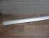 Trim Strip Door MERCEDES-BENZ C-Klasse (W203)