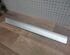 Trim Strip Door MERCEDES-BENZ C-Klasse (W203)