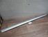 Trim Strip Door MERCEDES-BENZ C-Klasse (W203)