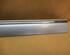 Trim Strip Door MERCEDES-BENZ C-Klasse T-Model (S203)