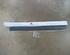 Trim Strip Door MERCEDES-BENZ B-Klasse (W245)