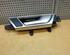 Door Handle AUDI A6 (4F2, C6)