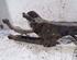 Axle NISSAN QASHQAI / QASHQAI +2 I (J10, NJ10, JJ10E)