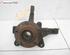 Stub Axle RENAULT Kangoo Express (FW0/1)