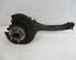 Stub Axle FORD Focus C-Max (--)