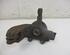 Stub Axle FORD Focus II (DA, DP, HCP)