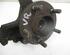 Stub Axle FORD Focus II (DA, DP, HCP)