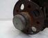 Stub Axle MERCEDES-BENZ C-Klasse (W203)