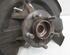 Stub Axle FORD Kuga II (DM2)