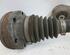 Stub Axle AUDI A8 (4H2, 4H8, 4HC, 4HL)