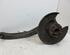 Stub Axle FORD Kuga I (--), FORD Kuga II (DM2)