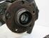 Stub Axle AUDI A6 Avant (4F5, C6)