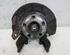 Stub Axle SKODA Fabia II (542)