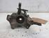 Stub Axle RENAULT MEGANE III Hatchback (BZ0/1_, B3_)