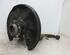 Stub Axle AUDI A6 Avant (4F5, C6)