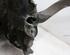 Stub Axle BMW 5 (E60)