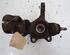 Stub Axle FORD TRANSIT CONNECT (P65_, P70_, P80_)