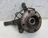 Stub Axle RENAULT CLIO III Grandtour (KR0/1_)