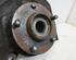 Stub Axle NISSAN QASHQAI / QASHQAI +2 I (J10, NJ10, JJ10E)