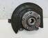 Stub Axle NISSAN QASHQAI / QASHQAI +2 I (J10, NJ10, JJ10E)